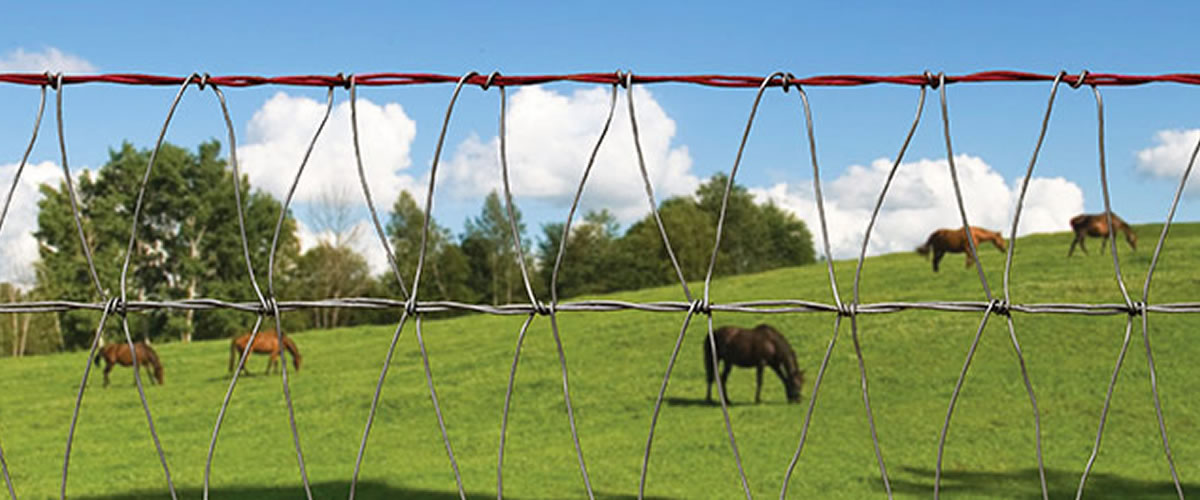 Red Brand Keepsafe Equestrian Fence from Moncaster Wire
